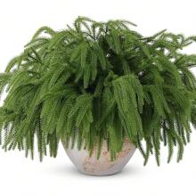 1/3PCS 7 Forks Artificial Pine Needles, Pine Cones, Plastic Accessories, Christmas Decoration Fake Plants Room Decor Fall Decor Fake Flowers Plants Garden Autumn Decor Centerpieces DIY Materials, Christmas Tree Accessories, Home Decoration, Holiday Party Supplies Christmas Decorations