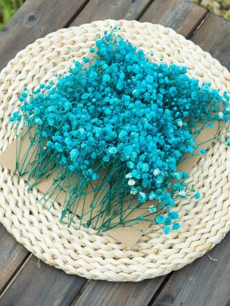 50/70/100/300 Pcs Or 50/150g Mini Baby's Breath Flowers And Other Dried Flowers - For Resin Mold Art Craft, Ivory White Flowers Bouquet For Hair Accessory, Wedding Wreath, Table Vase, Home Decor Gifts Birthday Graduation