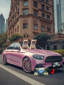 Personalized Car Tag License Plate, Checkered Name Car Tag, Front Car Tag, Custom License Plate, Personalized License Plate, Initial Car Tag Gifts Birthday Graduation