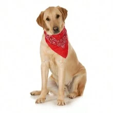 10-Pack Paisley Cotton Dog Scarf Triangle Bibs  - XL And Washable - Red - View 2