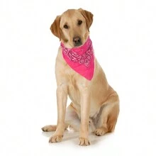 10-Pack Paisley Cotton Dog Scarf Triangle Bibs  - XL And Washable - 玫紅色 - 查看 2