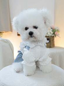 1 件宠物服装，可爱狗狗和猫咪连衣裙，小型犬和幼犬节日沙滩装