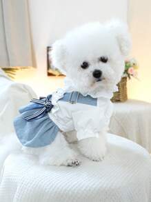 1 件宠物服装，可爱狗狗和猫咪连衣裙，小型犬和幼犬节日沙滩装