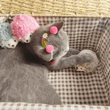 1-4 piezas Muñeco de peluche de erizo de dibujo animado lindo - Juguetes de peluche duraderos para mascotas para juego interactivo diario de buscador con perros y gatos - Multicolor - Ver 6