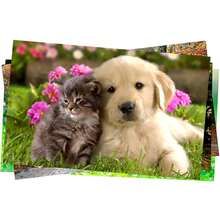 A6 10x15 265g Glossy White Bright Photo Paper With 100 Masterprint Sheets - trắng - Xem 3