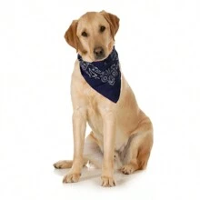 10-Pack Paisley Cotton Dog Scarf Triangle Bibs  - XL And Washable - Biru - View 2