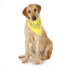 10-Pack Paisley Cotton Dog Scarf Triangle Bibs  - XL And Washable - Yellow - View 2