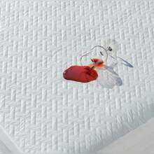 Double Mattress Protector Waterproof Cover With Quilted Elastic - Màu xanh hải quân - Xem 3