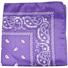 Mechaly Polyester Bandana - Paisley And Solid Colors - Pack Of 4 - Paisley Purple - View 1