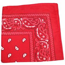 Mechaly Polyester Bandana - Paisley And Solid Colors - Pack Of 4 - 佩斯利紅 - 查看 1
