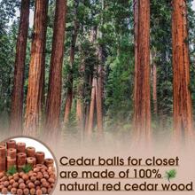 20pcs/10pcs/5pcs Clothing Storage Protector Set - Includes Cedar Balls And Cedar Rings For Clothing Protection And Odor Removal, Moth Repellent Cedar Wood Blocks For Closet Dress Pants Shoes Jeans Boots Skirtbedroom,Organizer,Organiser,Home Storage,White T Shirt Women,Black Pants Women,Ladies Winter Clothes,Dress,Winter Clothes For Ladies,Elegant Woman Dresses,White Shirt For Ladies,Long Sleeve,White Jumpsuit For Women,Spring Dresses For Women,Spring Outfits For Women,Spring,Spring Clothes,Minimalist,Summer Tops - Multicolor - View 8