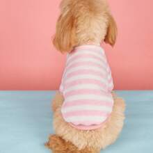 1 chiếc áo khoác trùm đầu ấm áp cho chó Poodle Teddy, áo nỉ kẻ sọc lông cừu sang trọng, mùa thu/đông - Màu xanh hải quân - Xem 5