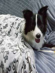 Pets Blanket Paw Print With Anti-Slip Design All Seasons Soft Warm Puppy Pet Blanket Small Medium Large Dogs Cats Pet Accessories