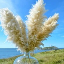 10/20/30 Stücke 60/100/80 cm hohe beige flauschige Deluxe Pampasgras Stiele, trockener Pampasgras Strauß um Boho & Landhausstil in Ihren Raum zu bringen - Pampasgras ist eine ideale Wahl für Blumenarrangements, Heimdekoration, Abschluss, Homecoming/Vasen, Hochzeiten & um eine Boho-Atmosphäre Zuhause zu schaffen. Perfekt für Halloween & Hochzeitsdekoration, Valentinstag, Geschenke Geburtstag, Herbstdekoration, Künstliche Pflanzen