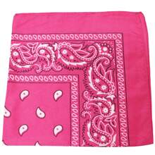 Pack Of 96 Qraftsy Paisley Cotton Bandanas - Wholesale Lot