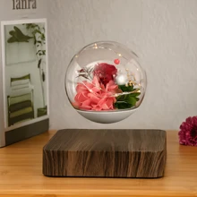 Levitating Air Bonsai Pot Rotation Flower Pot Planters Magnetic Suspension Floating Pot Potted Plant Home Without Plants - Apricot - View 8