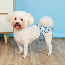 1件时尚夏季水果印花生理裤泰迪VIP生理裤纸尿裤月经裤防抓裤 - 紅色 - 查看 2