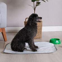 Waterproof PVC Washable Hygienic Mat 70x50 For Dogs - Xám - Xem 1