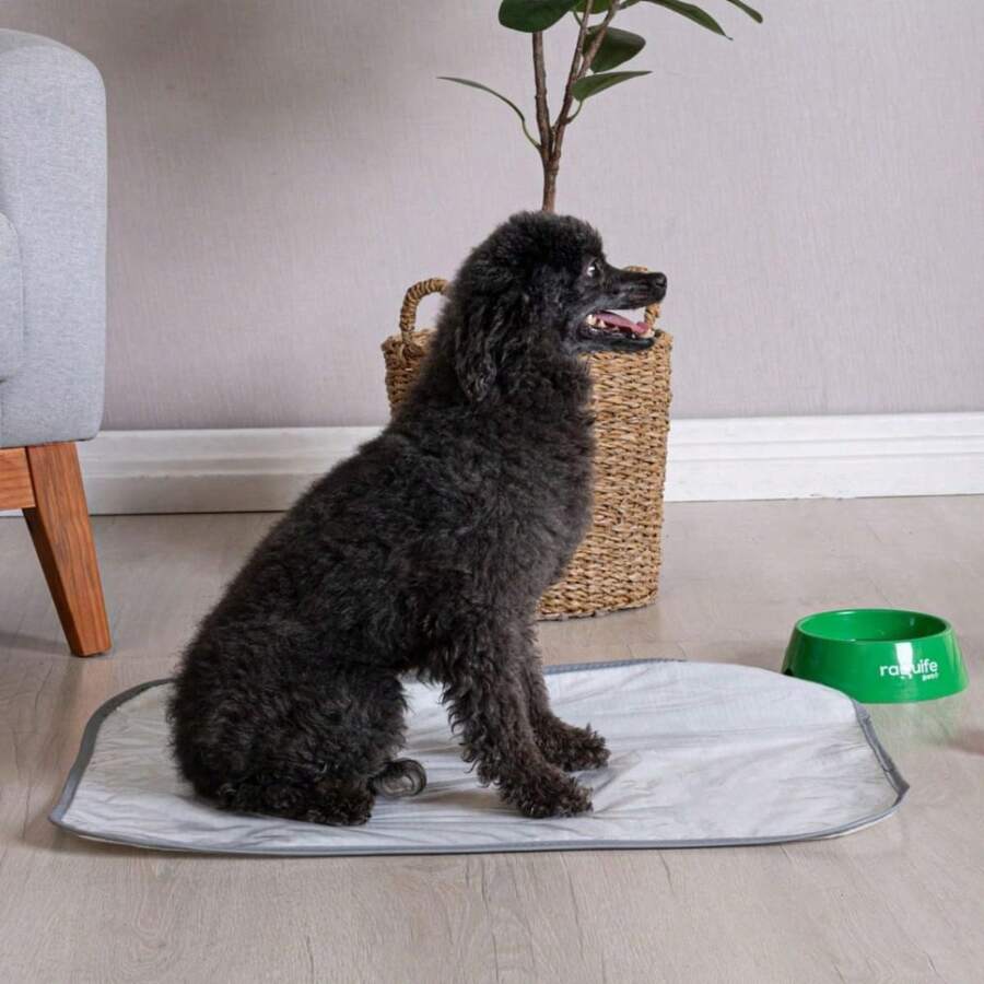 Waterproof PVC Washable Hygienic Mat 70x50 For Dogs - Xám - Xem 1