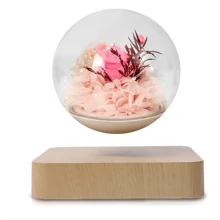 Levitating Air Bonsai Pot Rotation Flower Pot Planters Magnetic Suspension Floating Pot Potted Plant Home Without Plants - Apricot - View 7