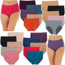 Women's Multi-Pack Of Randomly Selected Seamless Stretch High Rise Waist Briefs