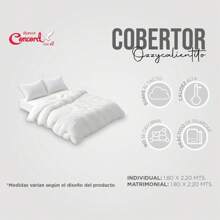 COBERTOR ULTRA MINK  SHAGGY  PACHICALIENTITO ULTRASUAVE CONCORD - MALVA SHAGGY - Ver 5