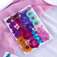 36-37入組天然乾燥花草葉子套裝,適合diy,環氧樹脂,珠寶模具,蠟燭,皂製作,美甲裝飾 - 彩色 - 查看 4