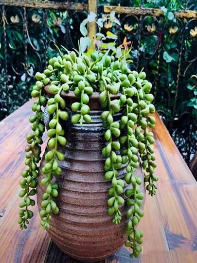 1 buquê de flores artificiais decorativas, resistentes a UV, realistas, adequadas para corredores, jardins, quintais, mesas de jantar, salas de estar, decorações para festas de casamento, flores artificiais decorativas, primavera verão, dia dos namorados, flores de plástico, dia dos namorados, presente, decoração de jardim, plantas externas, jardinagem, flores artificiais