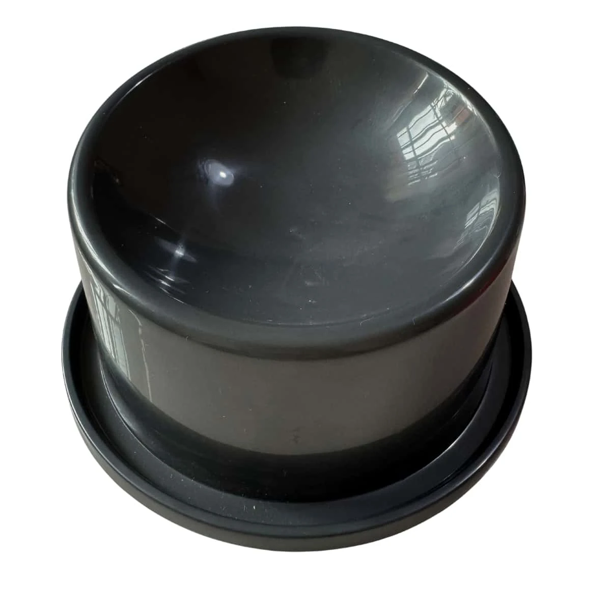 Kit 2 Ergonomic High Feeder For Cats And Dogs 150ml AntiAnt Correct