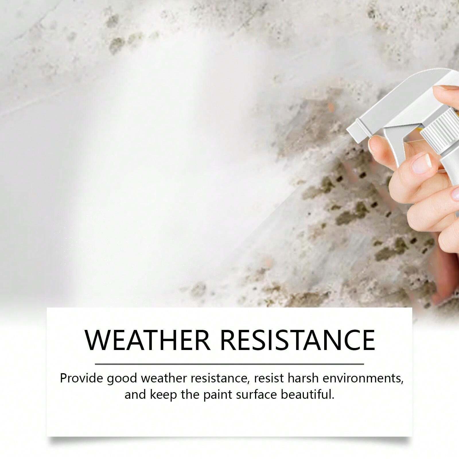 1 Piece Of Wall Renovation Spray Paint Decontamination Apply Waterproof