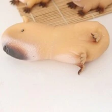 有趣的 Kapybara 挤压玩具 - 放松和淘气的动物，快速弹跳，耐用的橡胶，独特的动物挤压玩具，完美的派对礼物和节日礼物，非常适合复活节、万圣节、圣诞节、感恩节礼物，成人橡胶减压玩具 - 彩色 - 查看 16