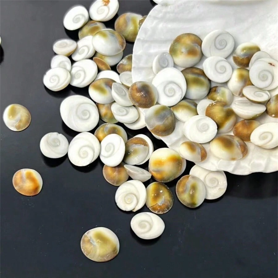 30pcs Natural Sun Shell Conch - Vibrant Colors For DIY Jewelry, Aquarium Decor Crafts - Multicolor - View 1