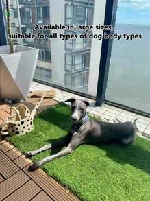 High-Quality Artificial Grass Pet Pee Pad, Dog Toilet, Fake Grass Mat, Potty Training Pad, Various Sizes For Small/Medium/Large Dogs - Green - View 6