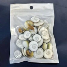 30pcs Natural Sun Shell Conch - Vibrant Colors For DIY Jewelry, Aquarium Decor Crafts - Multicolor - View 6