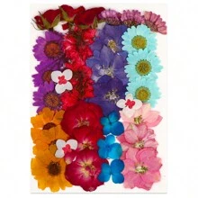 36-37入組天然乾燥花草葉子套裝,適合diy,環氧樹脂,珠寶模具,蠟燭,皂製作,美甲裝飾 - 彩色 - 查看 2