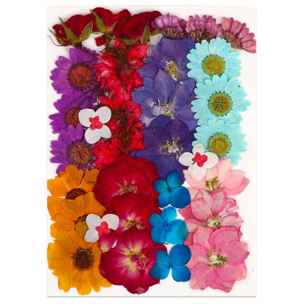 Ensemble De Fleurs Et De Feuilles Naturelles Séchées Et Pressées De 36-37 Pièces / Paquet, Idéal Pour Le Bricolage, La Résine Epoxy, Le Moule À Bijoux, La Fabrication De Bougies, De Savon, La Décoration D'art D'ongle.