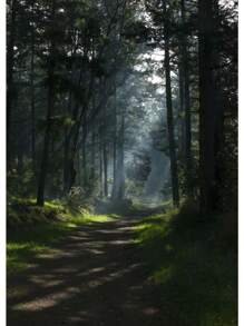 1pc Đẹp Rừng Xanh Đậm Sương Mù Núi Phong Cảnh Phong Cảnh Thiên Nhiên Poster Tranh Canvas Nghệ Thuật Treo Tường Hình Ảnh Trang Trí Phòng Nhà Không Có Khung - Nhiều màu - Xem 67