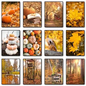 1pc Autumn Decoration Canvas Poster Yellow Leaves Fall View Wall Art Print Pumpkin Painting Halloween Picture Living Room Home Decor No Frame
