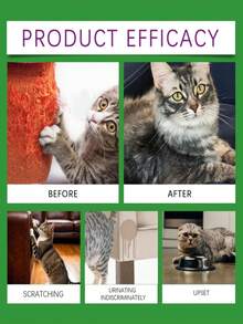 Cat Emotion Care Set, Helps Soothe Cats' Comfort, Calm Behavior, And Manage Stress And Heat Cycles - Multicolor - View 4