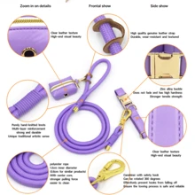 Pet Fashionable Personalized Gold Color Zinc Alloy Clasp Heavy Duty Handmade Nylon Leash For Dogs, Polyester Rope Durable Strong Dog Lead, Suitable For Large & Medium Pets, Collar And Training Accessories