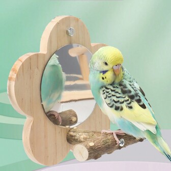 1 pezzo Accessorio per gabbia con posatoia a forma di pappagallo, specchio, giglio tigrato e barra da masticare