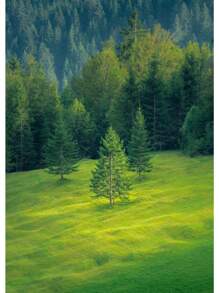 1pc Đẹp Rừng Xanh Đậm Sương Mù Núi Phong Cảnh Phong Cảnh Thiên Nhiên Poster Tranh Canvas Nghệ Thuật Treo Tường Hình Ảnh Trang Trí Phòng Nhà Không Có Khung - Nhiều màu - Xem 87