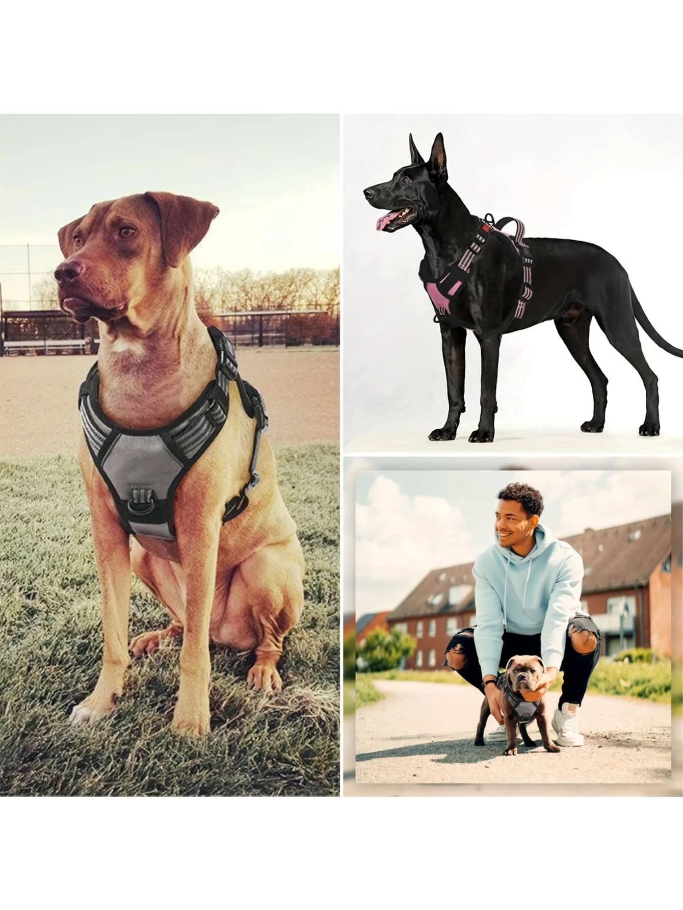 Geschirr ohne Zug für Hunde, Geschirr mit reflektierender Vorderklappe ...