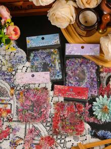 10 cái Mây , Cửa sổ , Ánh nắng , Và Đỏ  String Theo chủ đề Hình dán Đối với Làm sổ lưu niệm , DIY Album ảnh , Tạp chí , Người lập kế hoạch , Và Nghệ thuật Quân nhu - Nhiều màu - Xem 1