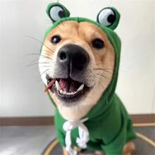 1 件宠物狗猫青蛙连帽衫、猫衣服、青蛙变形连帽运动衫 - 彩色 - 查看 9