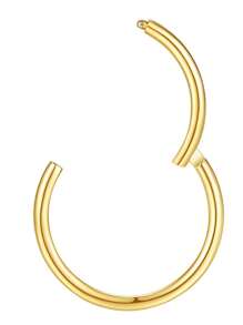 1pc 16g 18g 20g Nose Ring Hoop Cartilage Hoop Earring 10mm/8mm Helix Hoops Tragus Hoop Earring Lip Ring Septum Ring Double Hoop Nose Ring Fot Single Piercing Nose Hoop Hypoallergenic Nose Piercing Hoop Clicker Nose Ring Hinged Nose Ring Hoop 6mm 7mm 8mm 10mm Silver Gold Black 316L Stainless Steel Small Hoop Earrings For Women Men