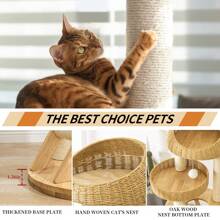 Big Modern Design Cat Tree Tower, Cat Tower Sisal-Covered Scratching Posts For Indoor Cats, Natural Oak Wood Cat Tree For Large Cats, Multi-Level Cat Condo With Sisal Staircase - Wood color - View 2