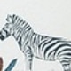 Zoo