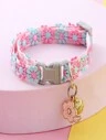 Accesorios para Mascotas