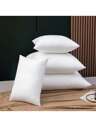 Throw Pillow Inserts